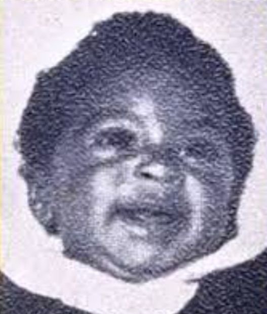 Brandon David Jackson